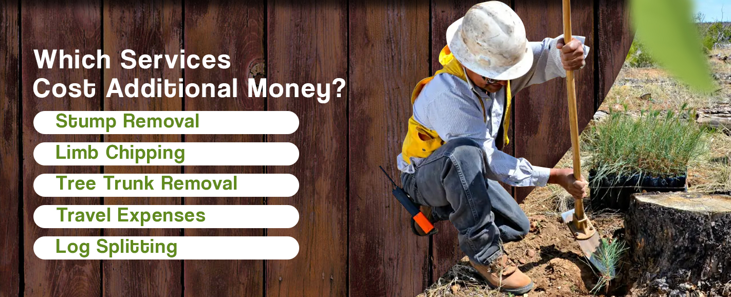 Which Services Cost Additional Money